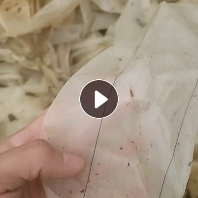 出售尼龙脱模布废料，现货10吨，尼龙脱模布下来的胶，现货10吨