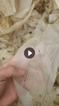 出售尼龙脱模布废料，现货10吨，尼龙脱模布下来的胶，现货10吨