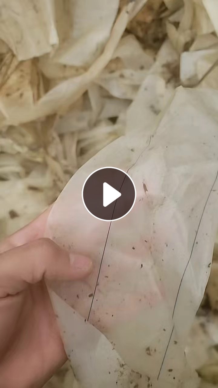 出售尼龙脱模布废料，现货10吨，尼龙脱模布下来的胶，现货10吨