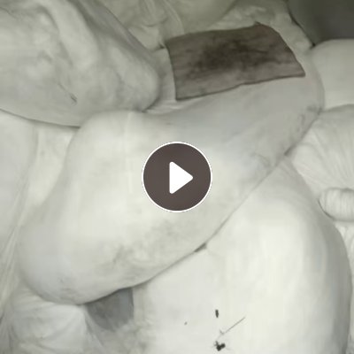 长期出售白色的涤纶布块，涤纶布头，涤纶废布，有整卷的也有散的，月供5吨