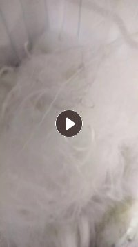 长期出售涤纶前纺丝，涤纶废丝，短纤下来的，月供十到十五吨