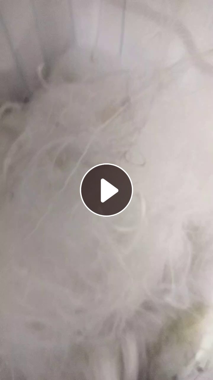 长期出售涤纶前纺丝，涤纶废丝，短纤下来的，月供十到十五吨