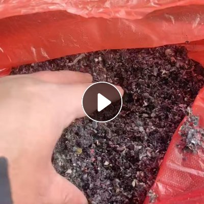 出售电动三轮车脚垫边角料，eva颗粒（不纯）