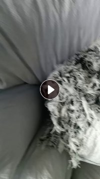 长期出售杂色废纱，不是纯涤纶，只能开花，货在浙江嘉兴