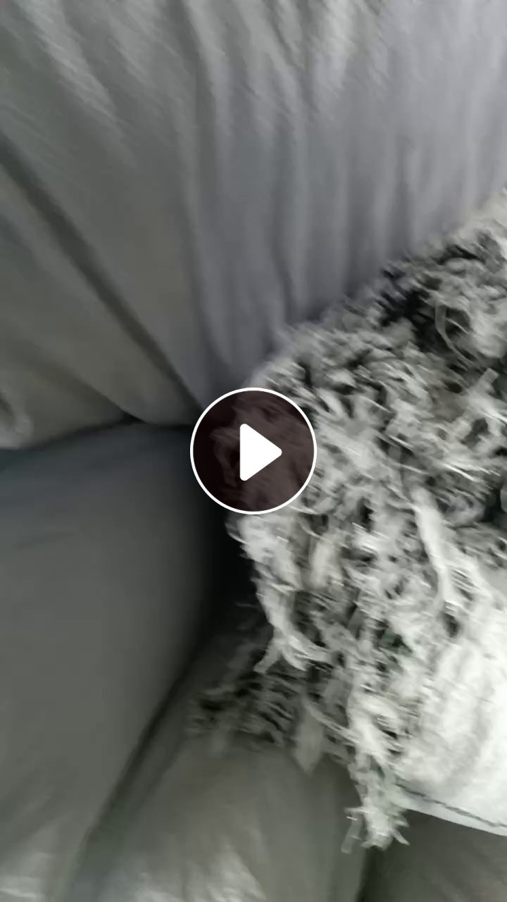 长期出售杂色废纱，不是纯涤纶，只能开花，货在浙江嘉兴