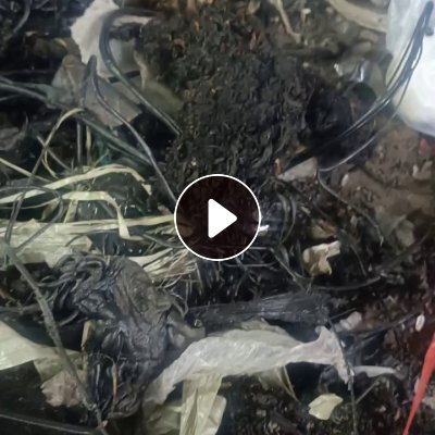 回收各种pe.pp.abs机头料