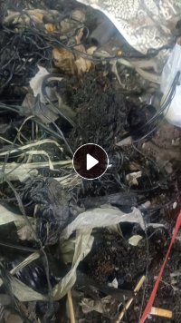 回收各种pe.pp.abs机头料