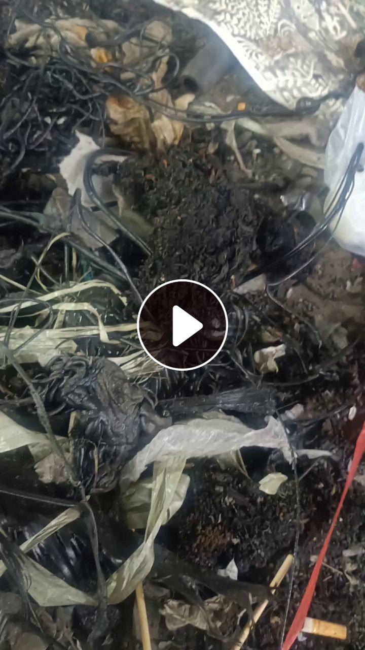 回收各种pe.pp.abs机头料