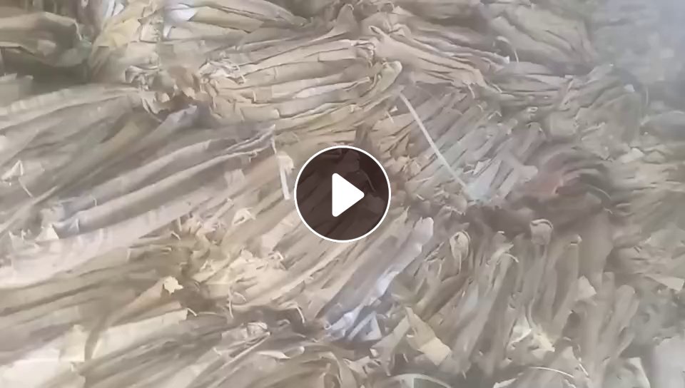 长期出售废旧牛皮纸塑袋，捆好100条一捆，现货一万多条