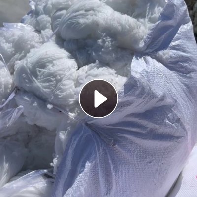 长期出售白色的涤纶高弹丝，涤纶毛衣片，可以开花做无纺布用，月供9.6米一车