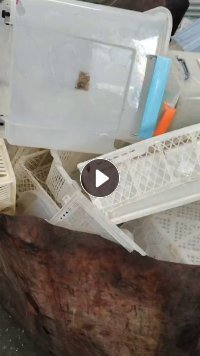 长期出售厚明丙、透明白丙压块料，现货一挂车