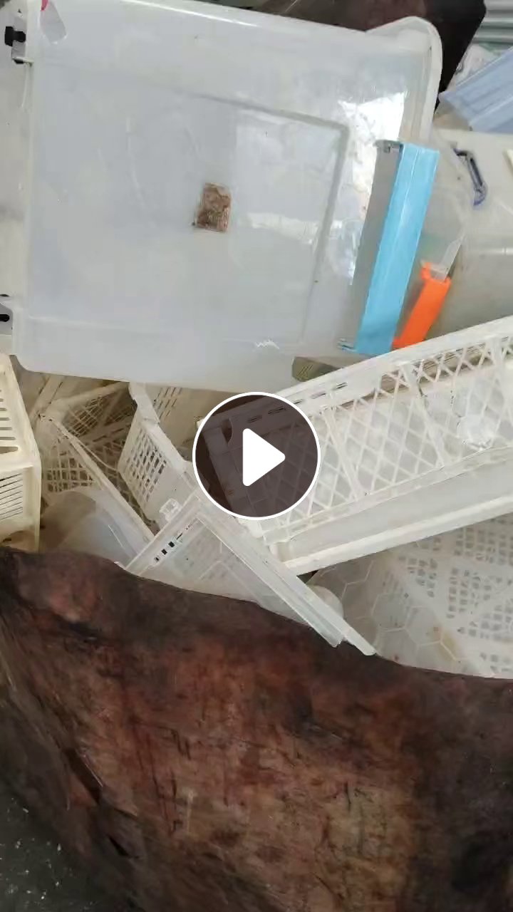 长期出售厚明丙、透明白丙压块料，现货一挂车