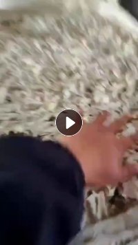 出售硬质PVC大小管破碎料， 小管占比90%左右，大管是原生的