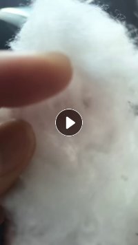 出售开花棉，300D-600D的废丝开的，货有几十吨，在江苏盐城