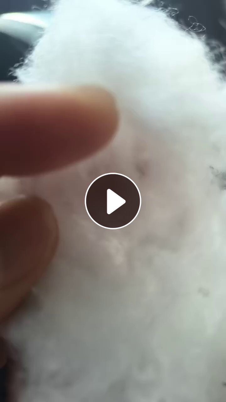 出售开花棉，300D-600D的废丝开的，货有几十吨，在江苏盐城