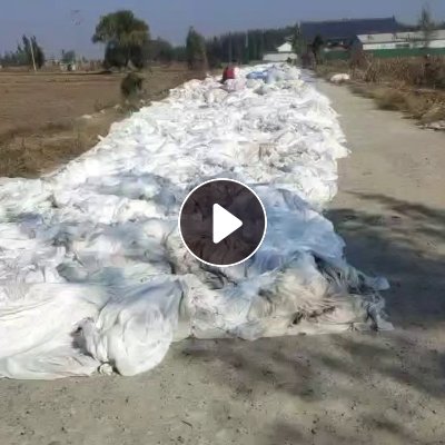 现货低价处理涤纶白布，染厂下来的，湿度在20左右，货在山东临沂