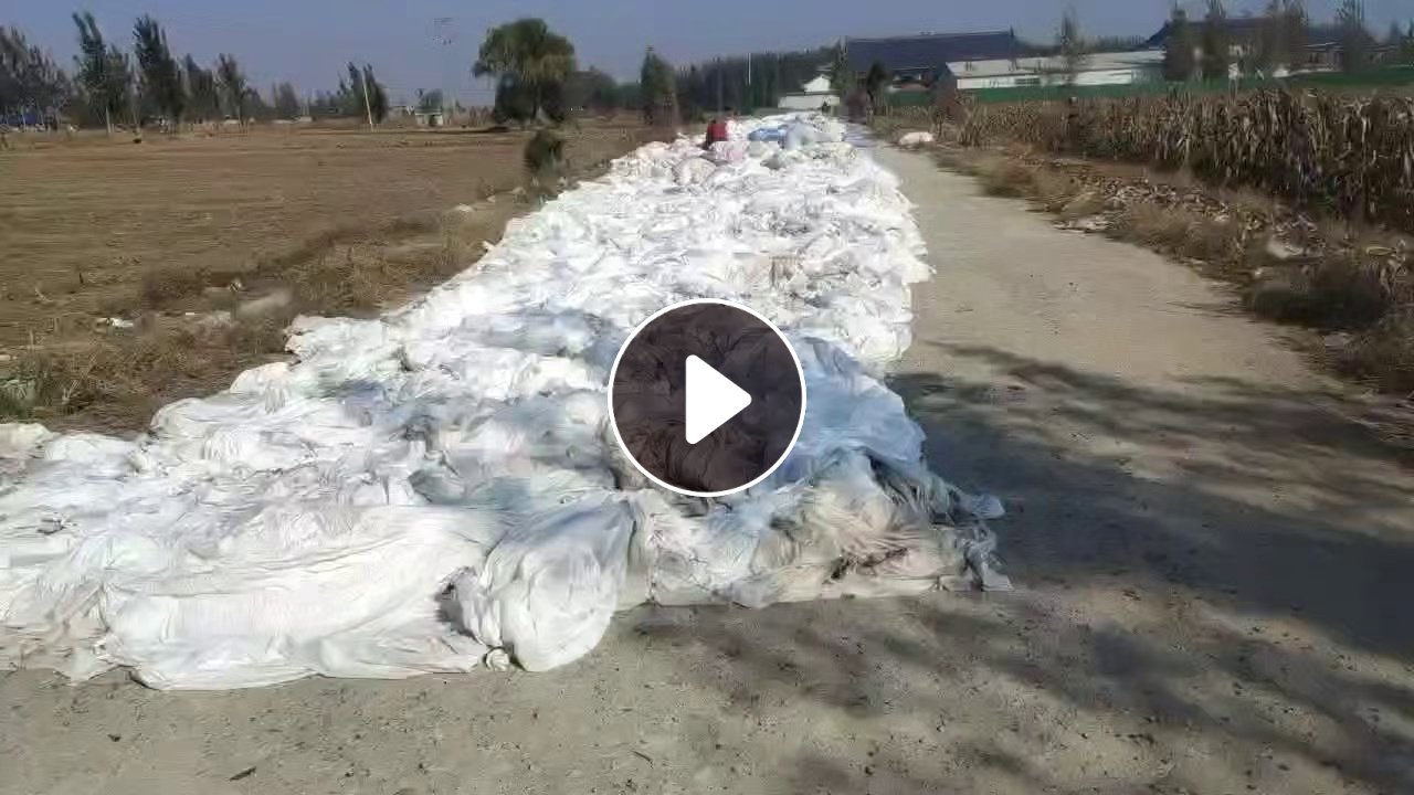 现货低价处理涤纶白布，染厂下来的，湿度在20左右，货在山东临沂