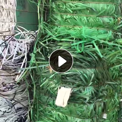 长期出售烟厂下来的绿色pet打包带废料，白色打包带废料