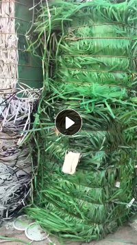 长期出售烟厂下来的绿色pet打包带废料，白色打包带废料