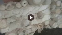 出售纺织厂下来的坯布，有天丝棉，涤棉，和纯棉的，门幅1.65，现货有6吨左右，货在浙江宁波