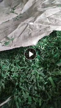 出售干粉pet打包带破碎料，现货60吨