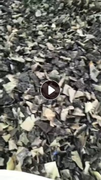 出售油箱破碎料，清洗甩干的，月供200吨