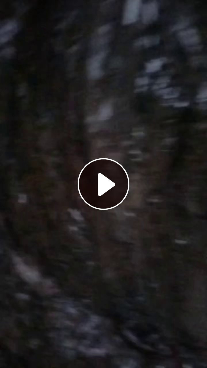 出售PET印花膜，印花厂下来的，现货15吨，