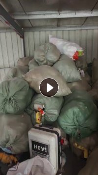 出售毛绒娃娃，毛绒玩具，大小分开，现货有4.2米一车，货在福建福州