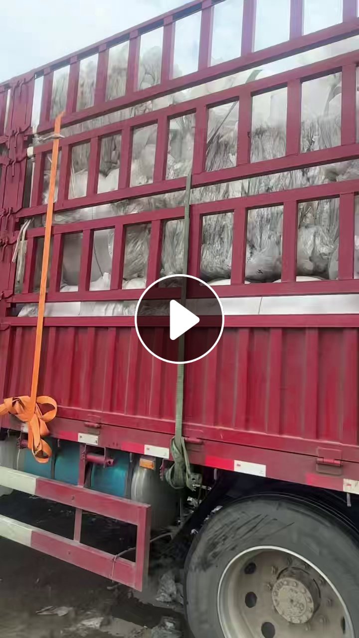 求购干造高压膜废料，缠绕膜，平板膜废料，造粒用