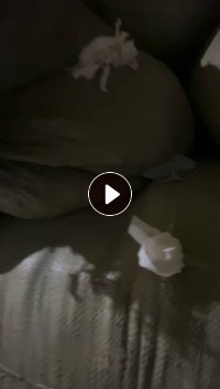 长期出售皮筋头牛奶丝，有白色浅色的，造粒用，统货出，现货200多吨，货在河南商丘