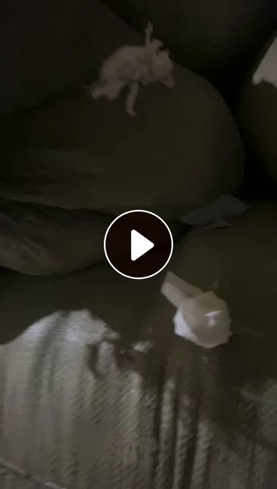 长期出售皮筋头牛奶丝，有白色浅色的，造粒用，统货出，现货200多吨，货在河南商丘