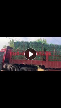 大量求购PET打包带毛料