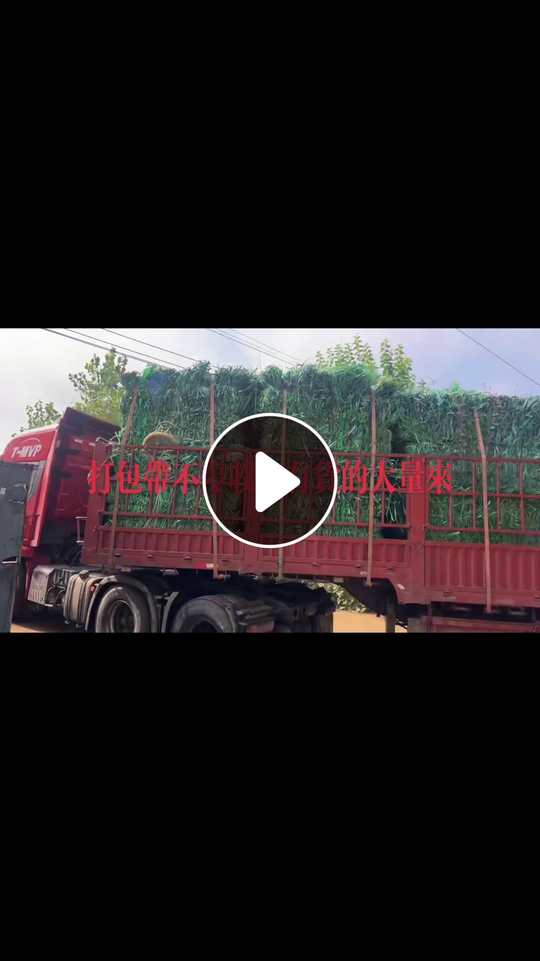 大量求购PET打包带毛料