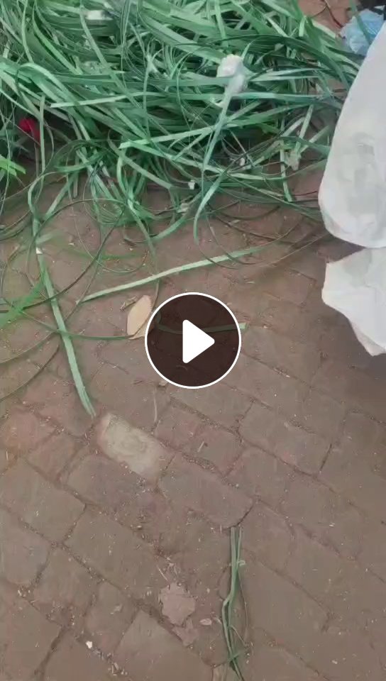 长期出售pet打包带废料，厂货，绿色黑色都有