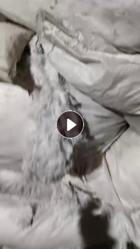 长期出售纯棉布边纱涤棉布边纱，混在一起，涤棉少，统货出，每个月有2车9米6，货在江苏南通