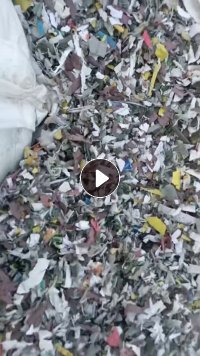 出售PP打包带破碎料，漂沉混打的，还有透明和乳白的，现货2挂车