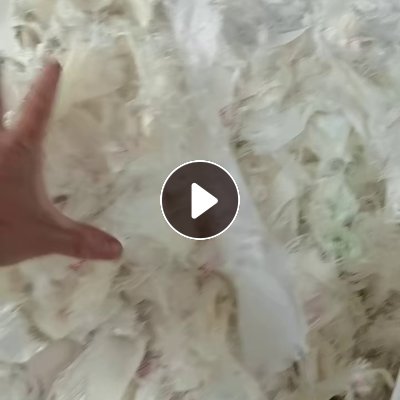 出售PA66脱胶气囊布  