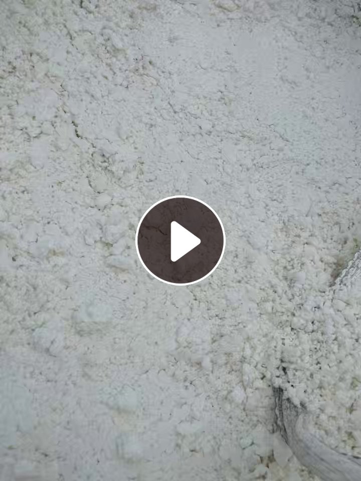 长期出售白色涤纶毛毛料，涤纶磨毛料，含水30%，货在山东菏泽