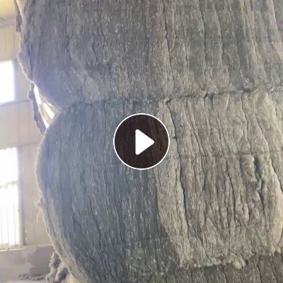 长期大量出售涤纶开松棉，涤纶汽车内饰开花棉，有黑色和灰色