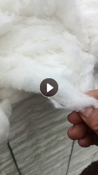 本厂大量出售涤纶开花棉涤棉开花棉纯棉开花棉，什么样的都有，每个月供应80吨