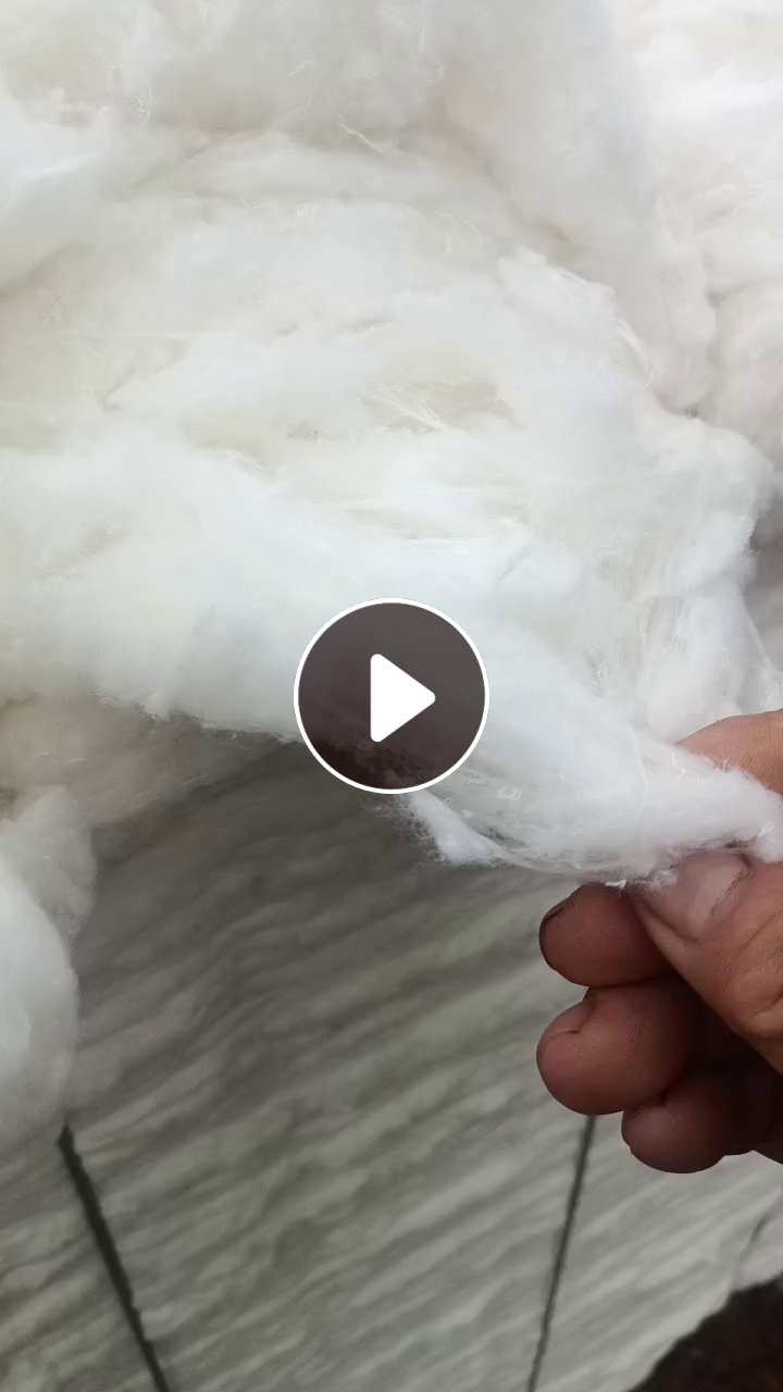 本厂大量出售涤纶开花棉涤棉开花棉纯棉开花棉，什么样的都有，每个月供应80吨