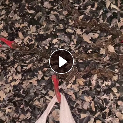 长期出售PP汽车内饰破碎料精品，风选甩干，诚信长期合作