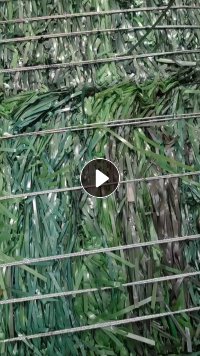 长期出售光伏厂下来的pet打包带废料，现货10多吨