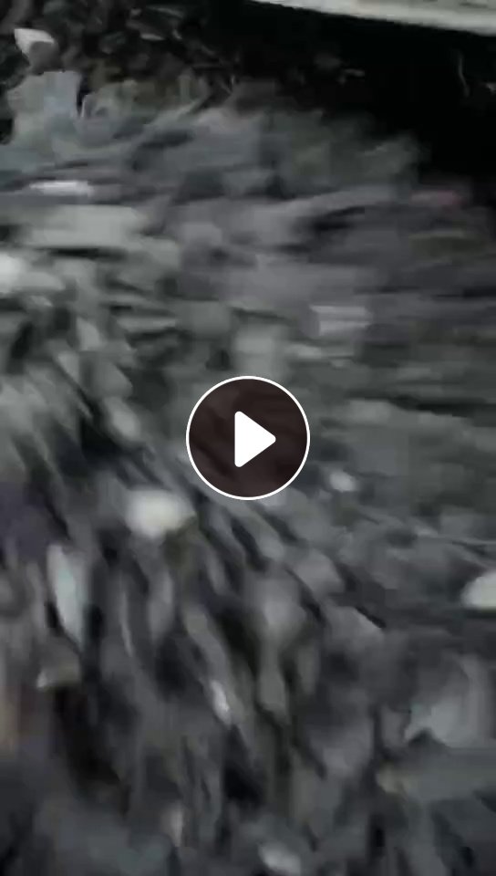 长期出售abs合金破碎料，合金电瓶壳破碎料，冲击7左右