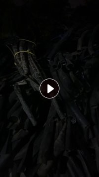 大量出售黑色PVC电缆皮破碎料，现货200吨