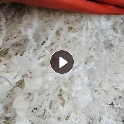 长期出售厂方料，尼龙刨花，基本是白色，也有点黑色，单六，现货有十几吨，货在湖南岳阳