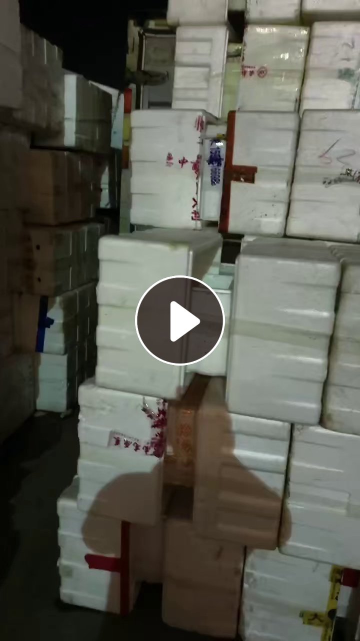 出售泡沫箱，装油麦菜，长.58.5宽.34高.24，现货一万多个