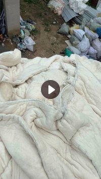 长期回收古棉旧棉被，要纯棉的，不能掺杂化纤棉，开花后送去纺纱，每个月需要大几十吨