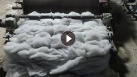 长期出售丝棉开出来开花棉，有二维纤维和三维纤维，可以做行缝棉，垫子，针刺棉，填充棉