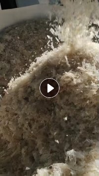 出售PP餐盒破碎料，长期有货